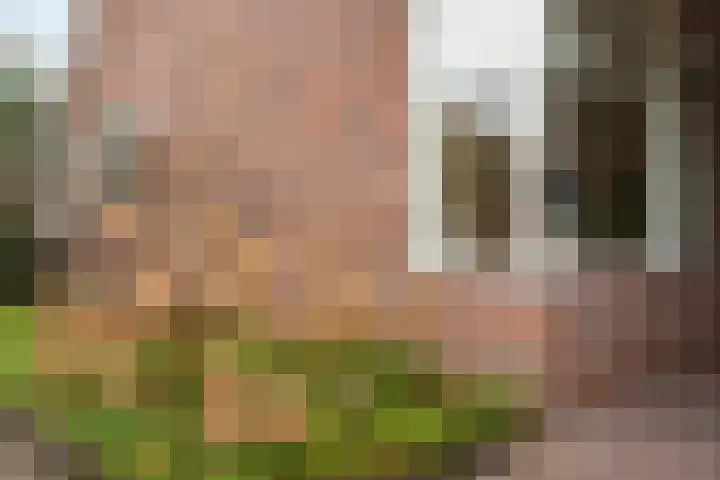 Schapendrift 131 Beilen thumbnail 64