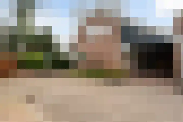 Schapendrift 131 Beilen thumbnail 65