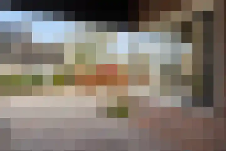 Schapendrift 131 Beilen thumbnail 66