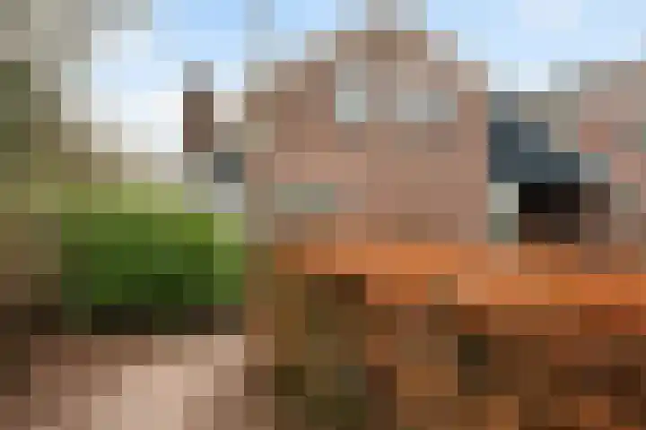 Schapendrift 131 Beilen thumbnail 67