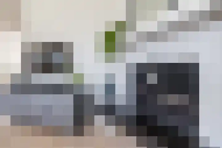 Schapendrift 153 Beilen thumbnail 12