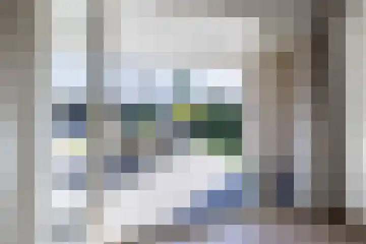 Schapendrift 153 Beilen thumbnail 13