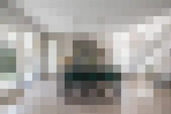 Schapendrift 153 Beilen thumbnail 17