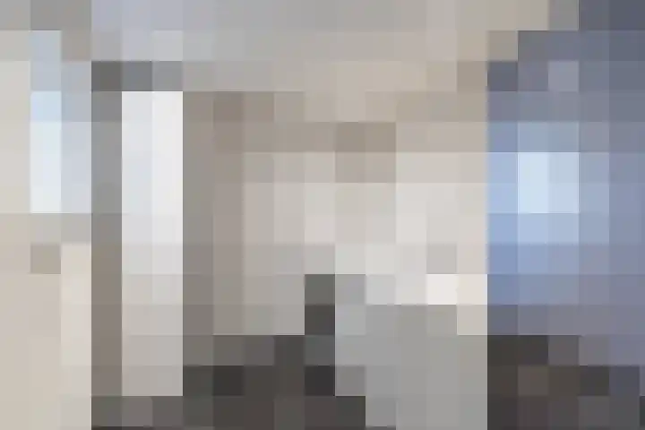 Schapendrift 153 Beilen thumbnail 20