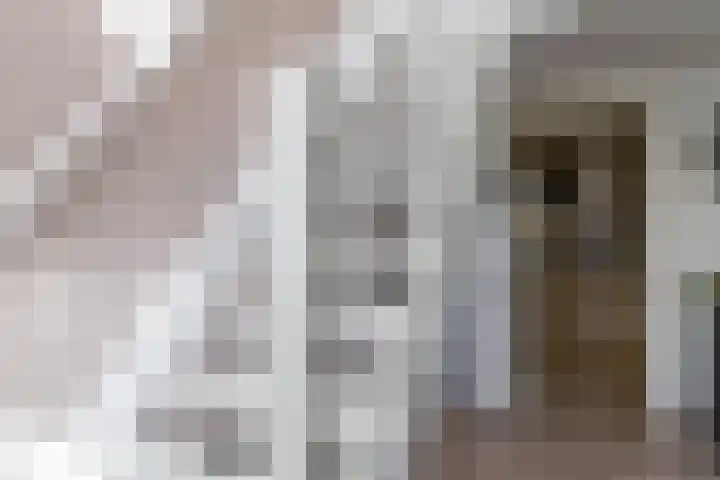 Schapendrift 153 Beilen thumbnail 24