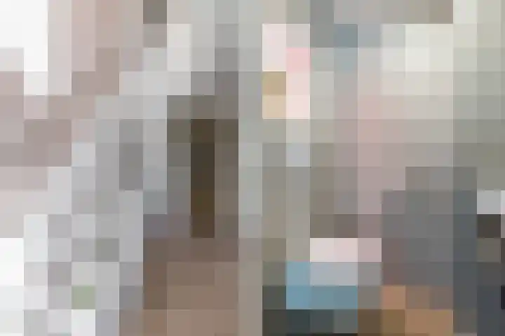 Schapendrift 153 Beilen thumbnail 26