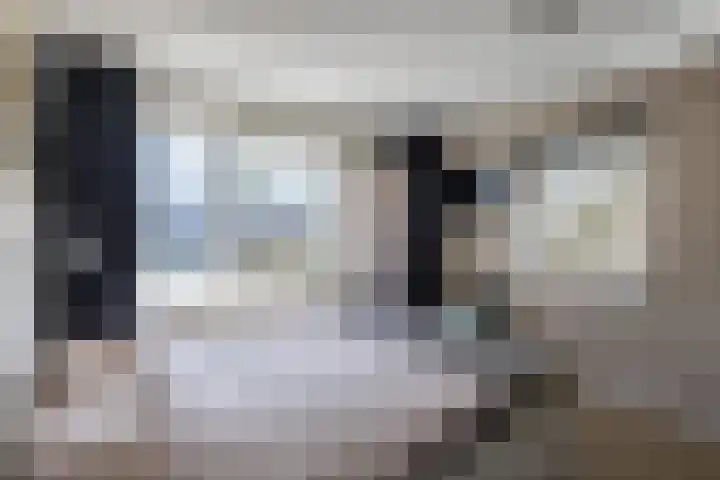 Schapendrift 153 Beilen thumbnail 27