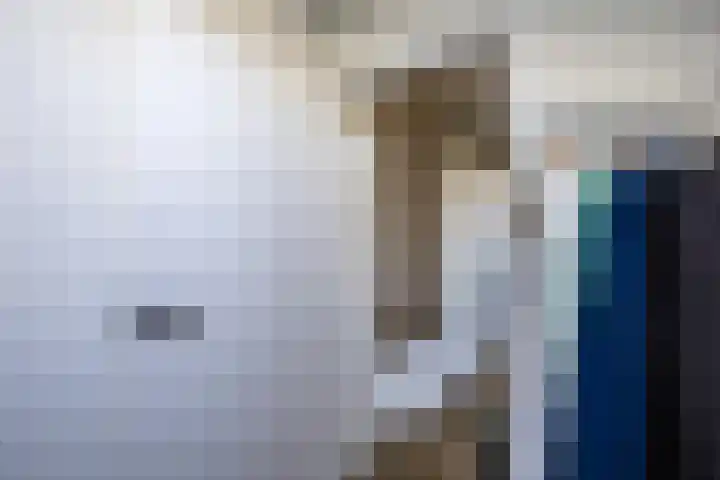Schapendrift 153 Beilen thumbnail 39