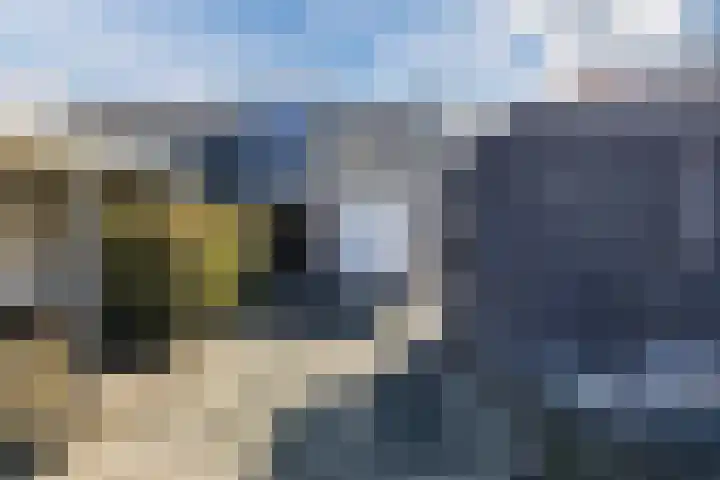 Schapendrift 153 Beilen thumbnail 4