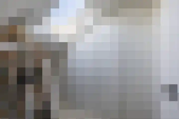 Schapendrift 153 Beilen thumbnail 40