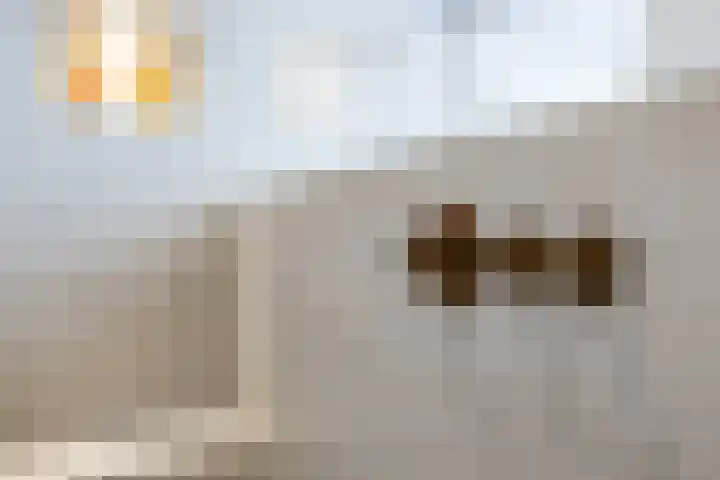 Schapendrift 153 Beilen thumbnail 43