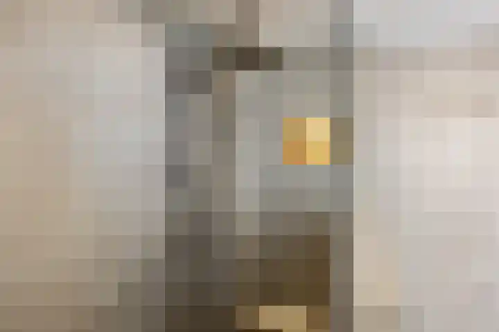 Schapendrift 153 Beilen thumbnail 44