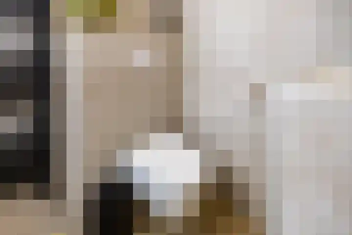 Schapendrift 153 Beilen thumbnail 47
