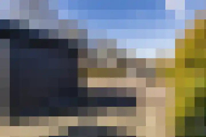 Schapendrift 153 Beilen thumbnail 5