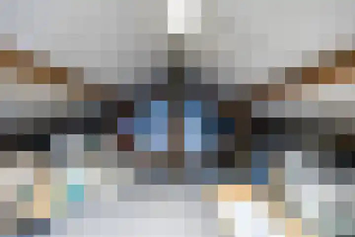 Schapendrift 153 Beilen thumbnail 50