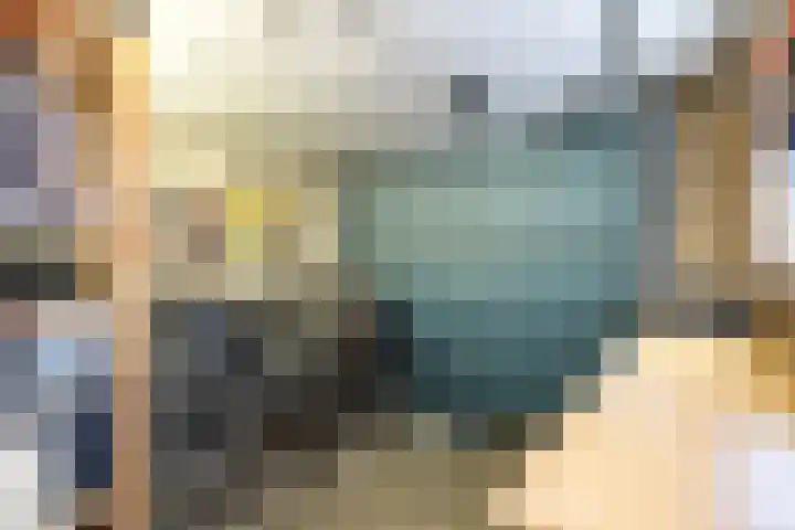 Schapendrift 153 Beilen thumbnail 54