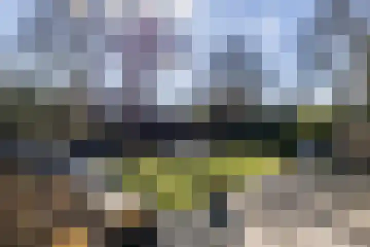 Schapendrift 153 Beilen thumbnail 55