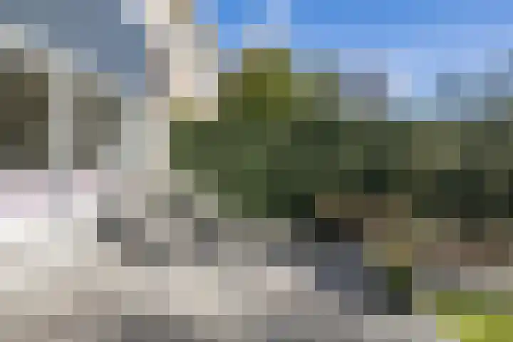 Schapendrift 153 Beilen thumbnail 56