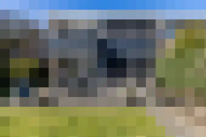 Schapendrift 153 Beilen thumbnail 58