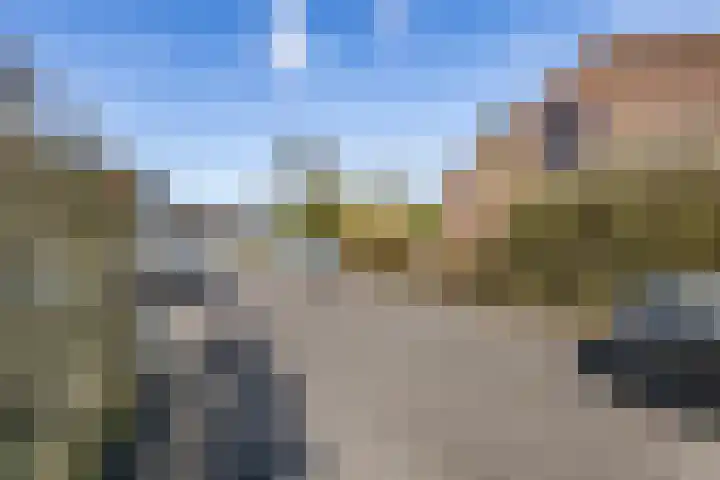 Schapendrift 153 Beilen thumbnail 59