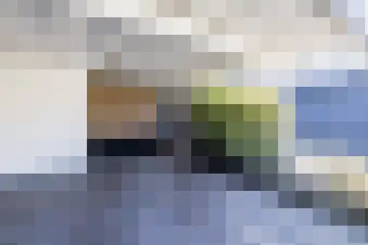 Schapendrift 153 Beilen thumbnail 6