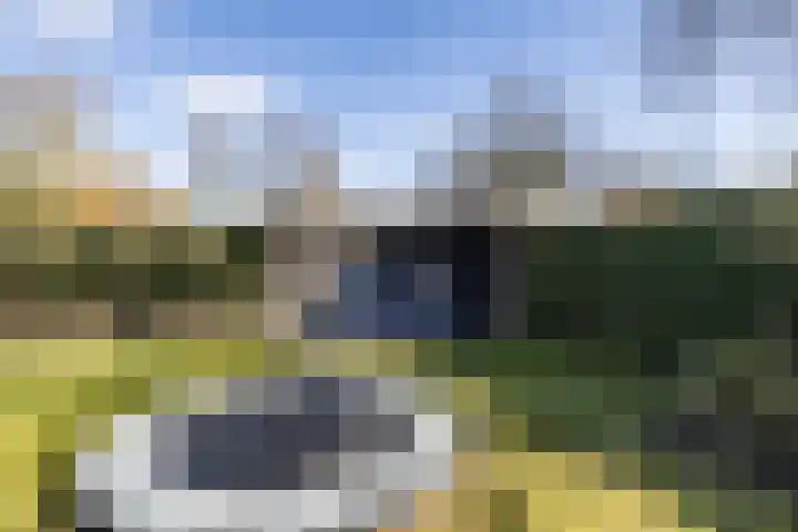 Schapendrift 153 Beilen thumbnail 60