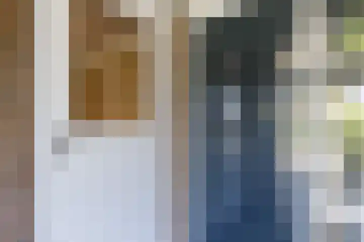 Schapendrift 153 Beilen thumbnail 8