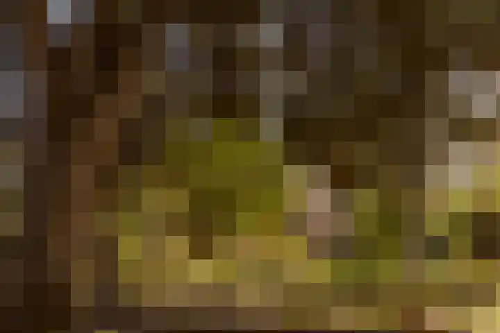 Schapendrift 2 Huizen thumbnail 12