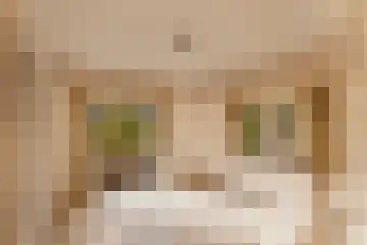 Schapendrift 2 Huizen thumbnail 6