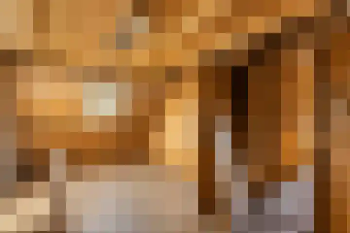 Schapendrift 2 Huizen thumbnail 9
