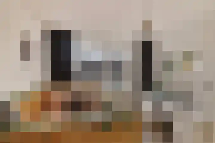 Schapendrift 50 Wezep thumbnail 15