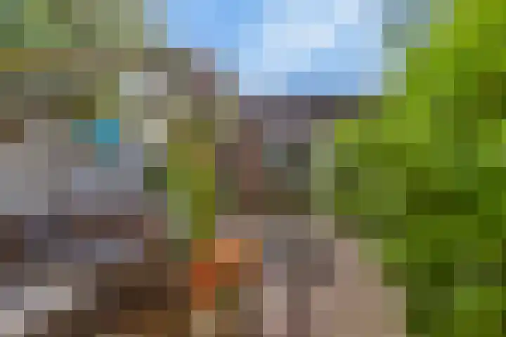 Schapendrift 50 Wezep thumbnail 26