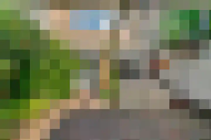 Schapendrift 50 Wezep thumbnail 27