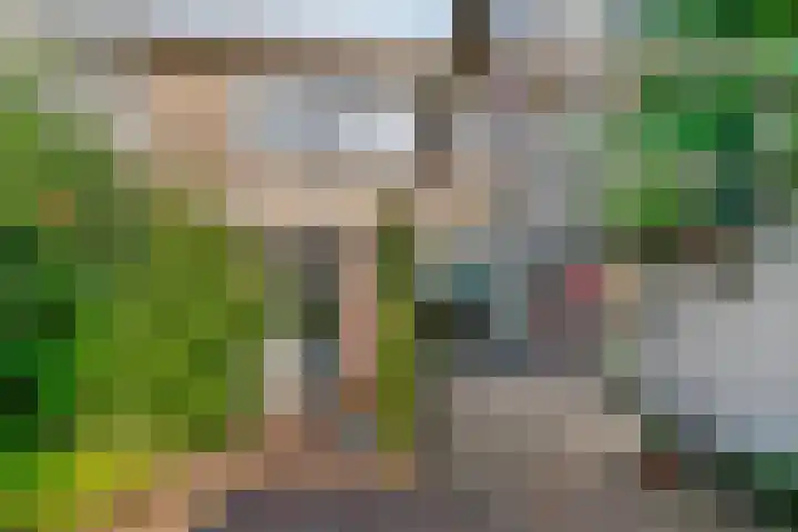 Schapendrift 50 Wezep thumbnail 28