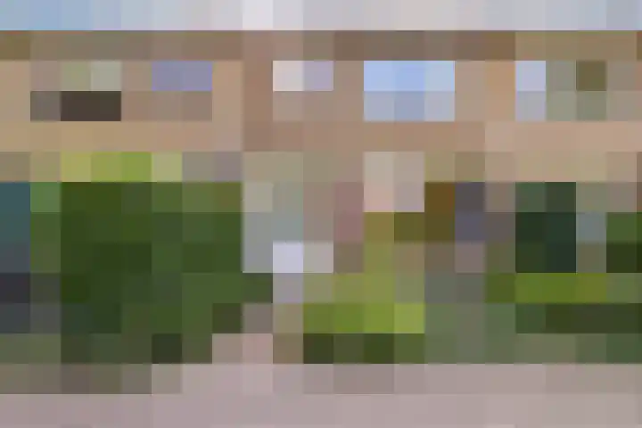 Schapendrift 50 Wezep thumbnail 35