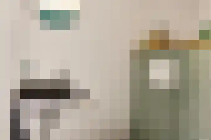 Schapendrift 50 Wezep thumbnail 4