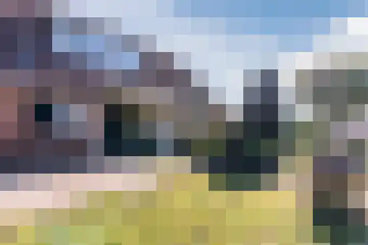 Schapendrift 9 Dalfsen thumbnail 10