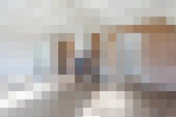Schapendrift 9 Dalfsen thumbnail 13