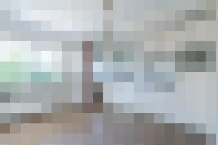 Schapendrift 9 Dalfsen thumbnail 18