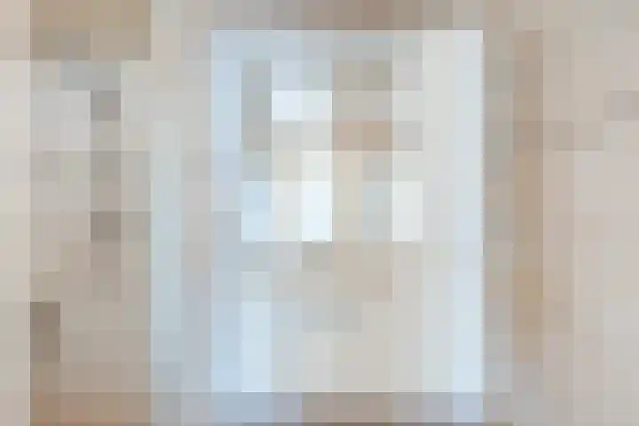 Schapendrift 9 Dalfsen thumbnail 21