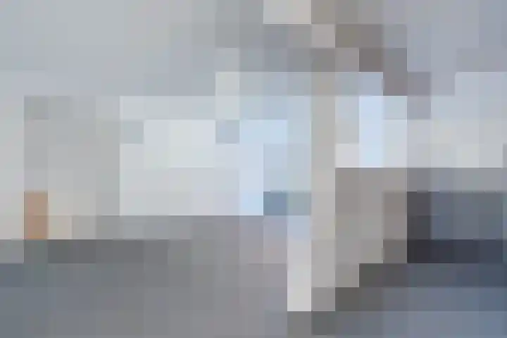 Schapendrift 9 Dalfsen thumbnail 25
