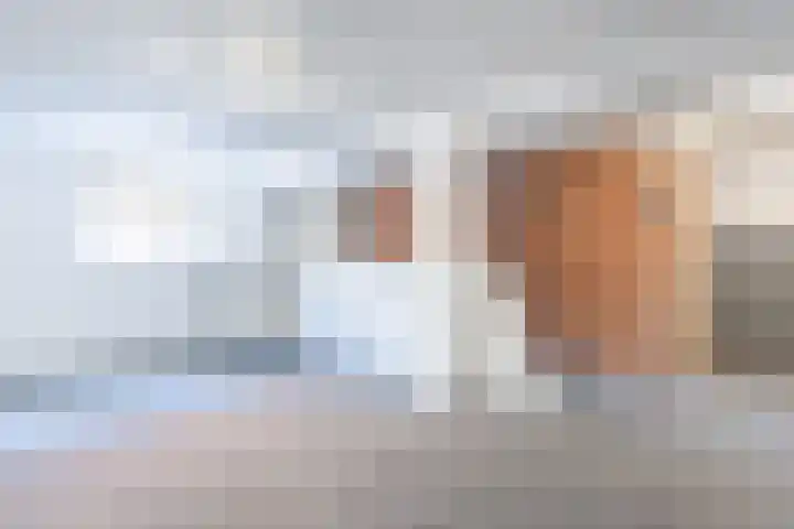 Schapendrift 9 Dalfsen thumbnail 26