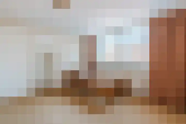Schapendrift 9 Dalfsen thumbnail 28