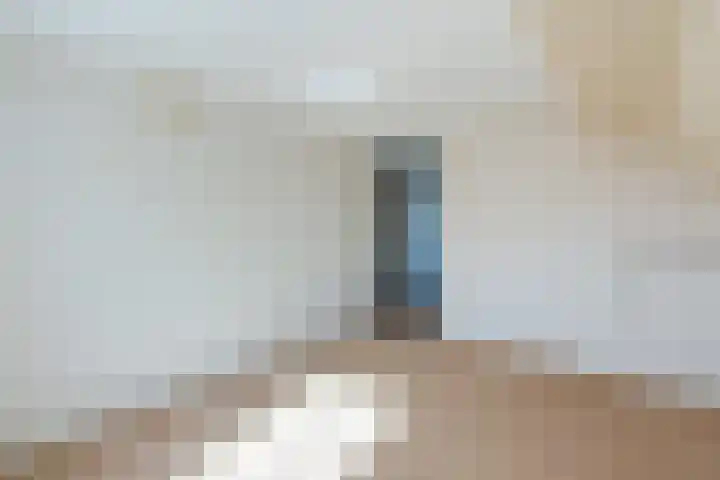 Schapendrift 9 Dalfsen thumbnail 35