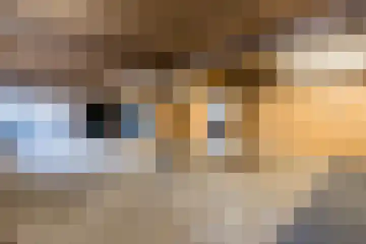Schapendrift 9 Dalfsen thumbnail 39
