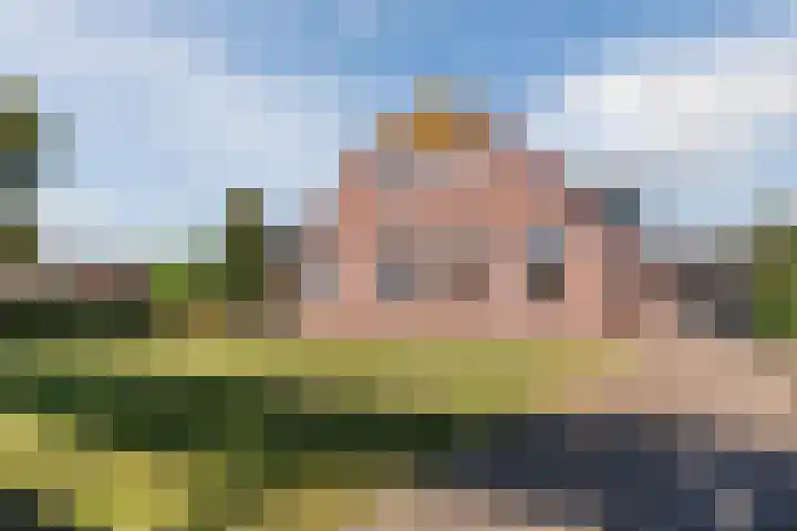 Schapendrift 9 Dalfsen thumbnail 4