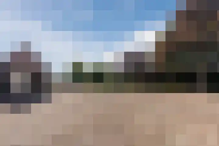Schapendrift 9 Dalfsen thumbnail 42