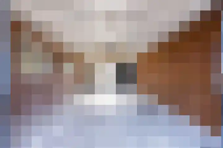 Schapendrift 9 Dalfsen thumbnail 44
