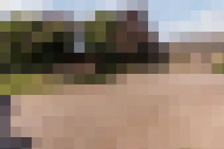 Schapendrift 9 Dalfsen thumbnail 45