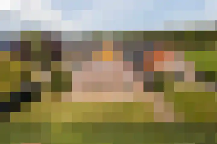 Schapendrift 9 Dalfsen thumbnail 48